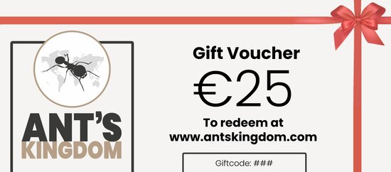 Gift voucher 25 euro