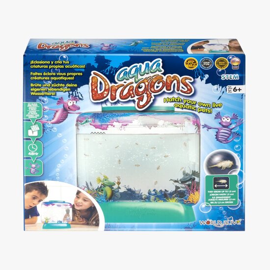 aqua dragons box