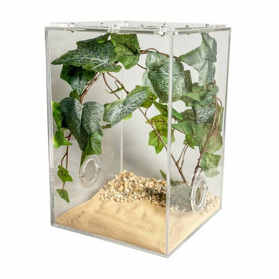 Insecten terrarium