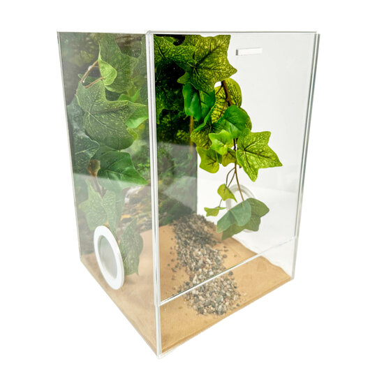 Inrichring terrarium