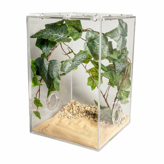 Insecten terrarium