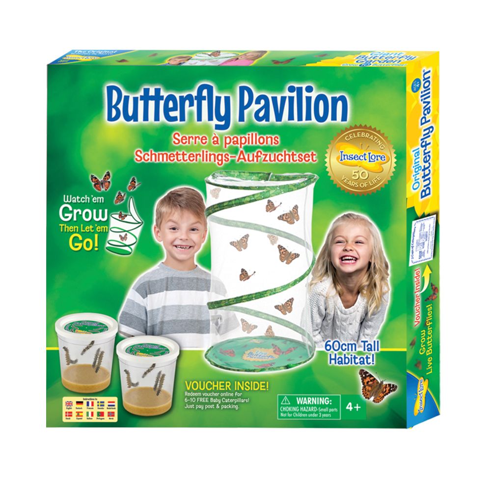 Pavillion butterfly vlinders kweekset