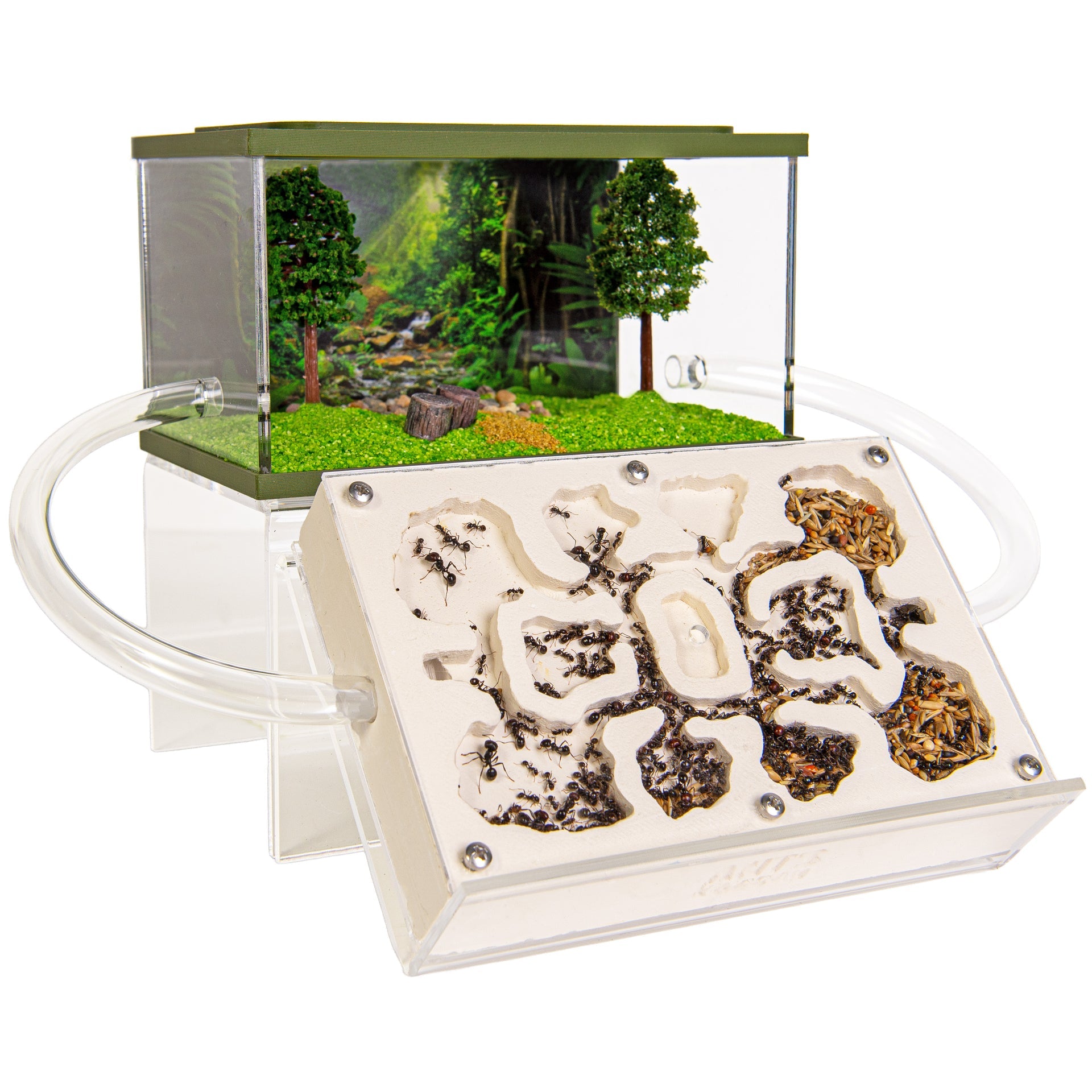 Mierenboerderij sets