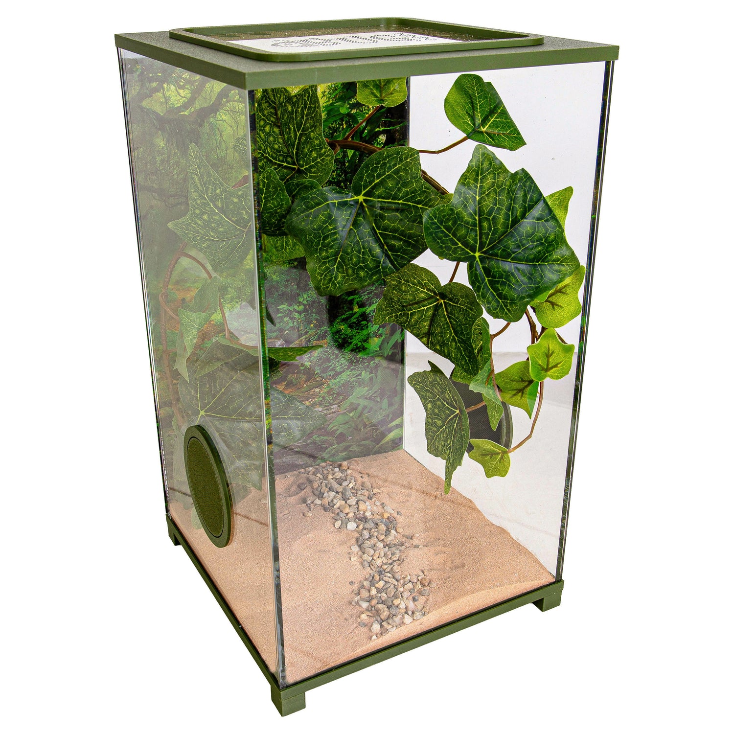 BioDome Insecten Terrarium hoofdfoto