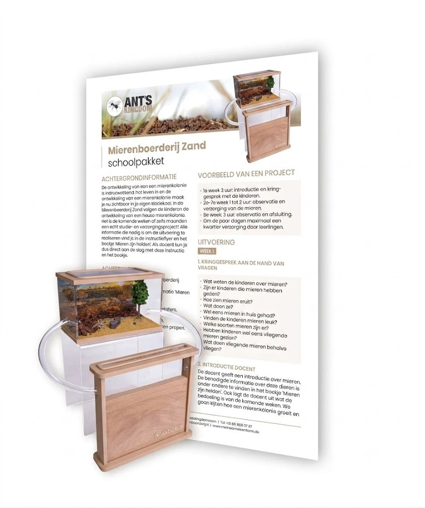 Ant Farm Sand School Pack