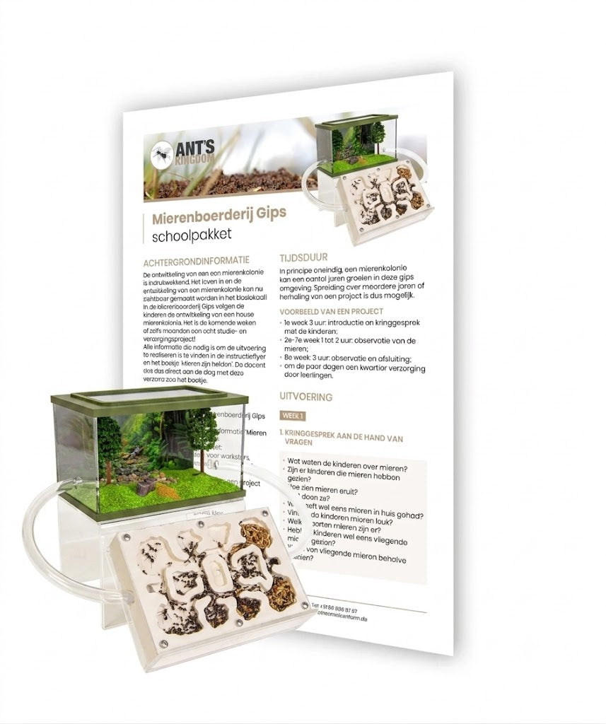 Ant Farm Plaster School Kit