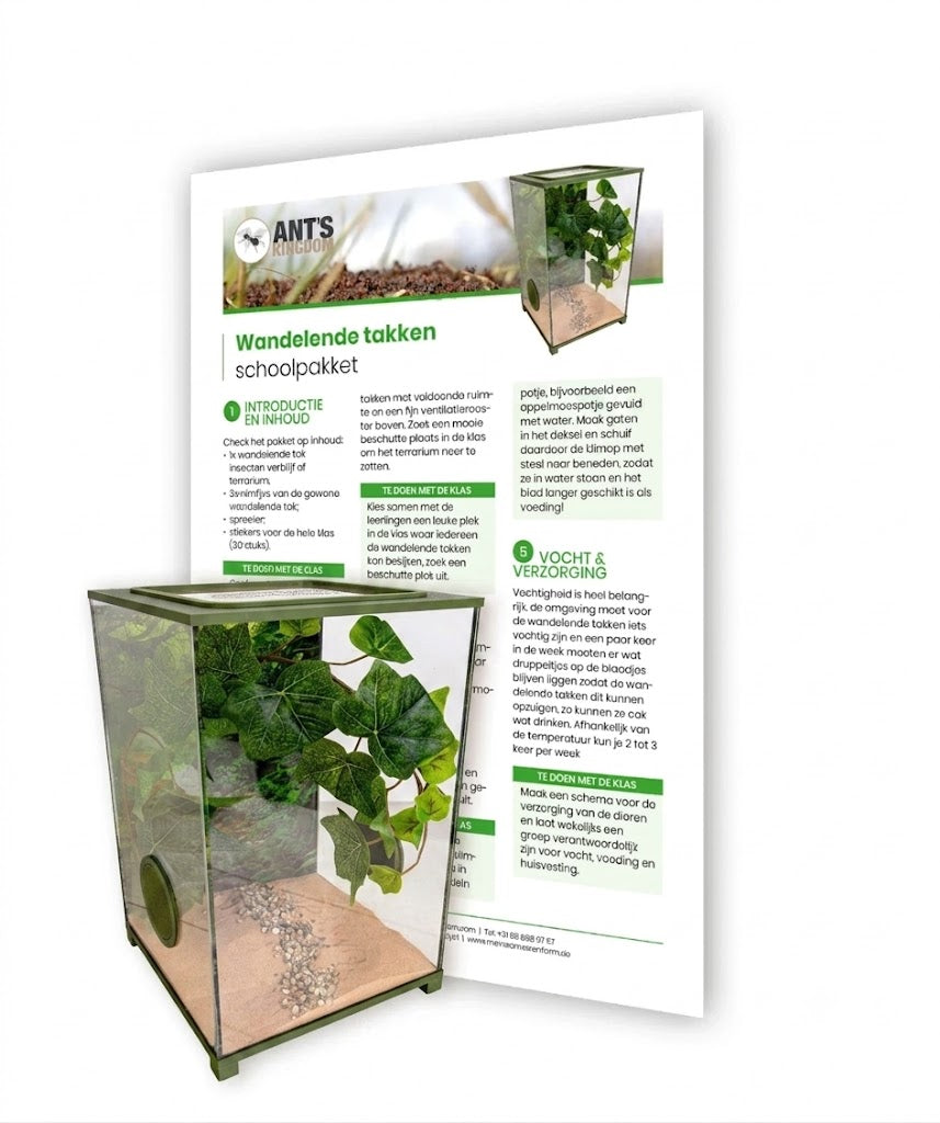 Walking Sticks School Package