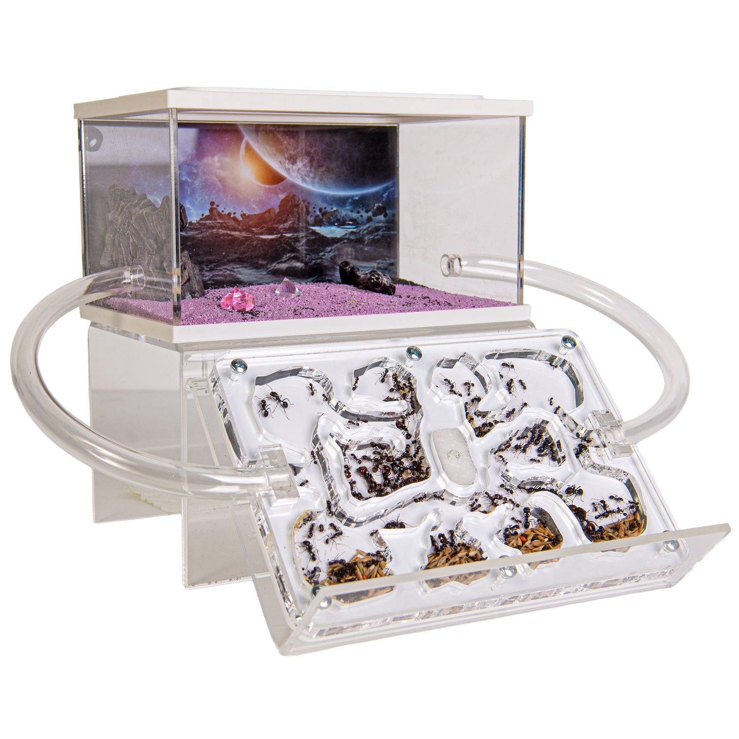 Ant Farm Acrylic Starter Set – Create your own