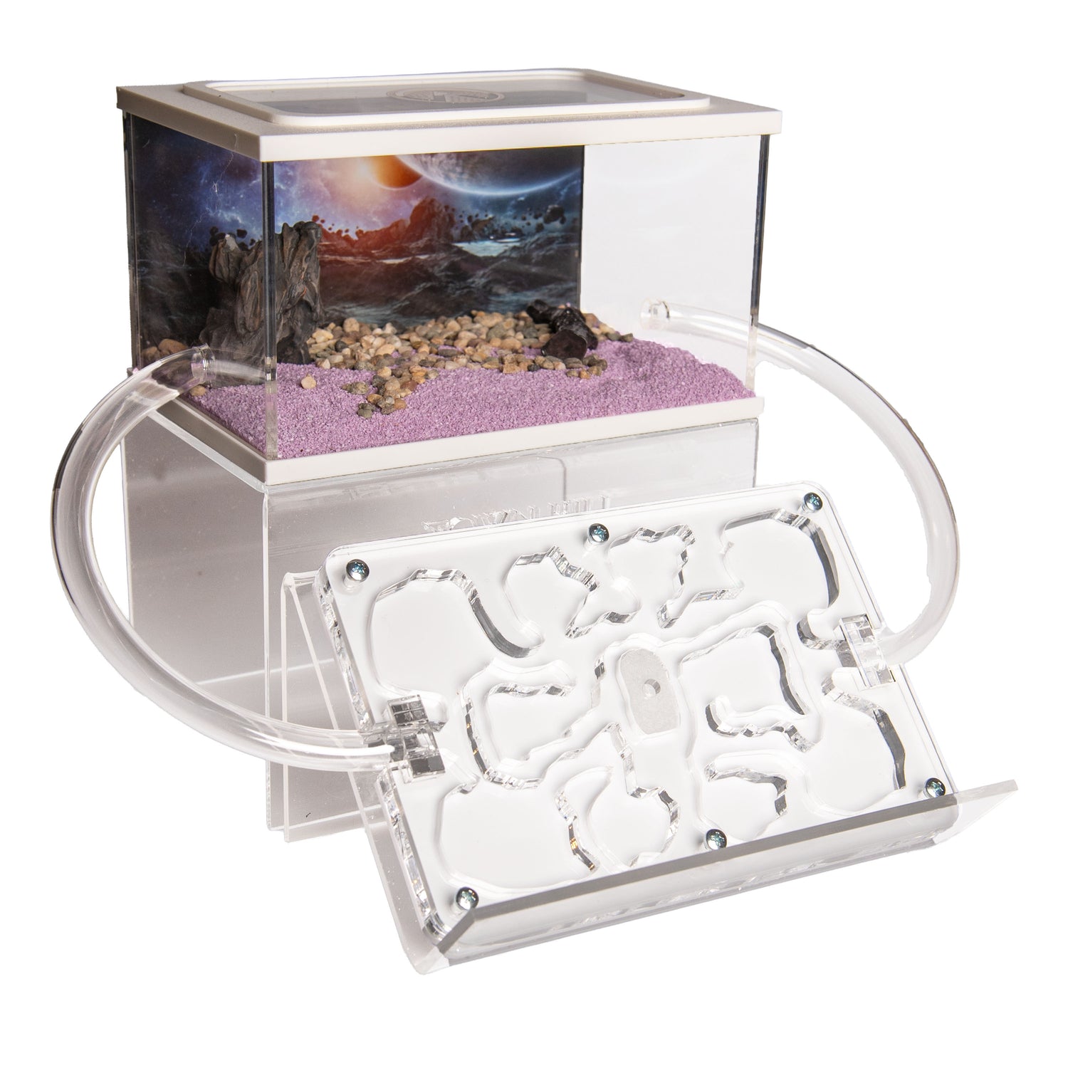 Ant Farm Acrylic Starter Set – Create your own