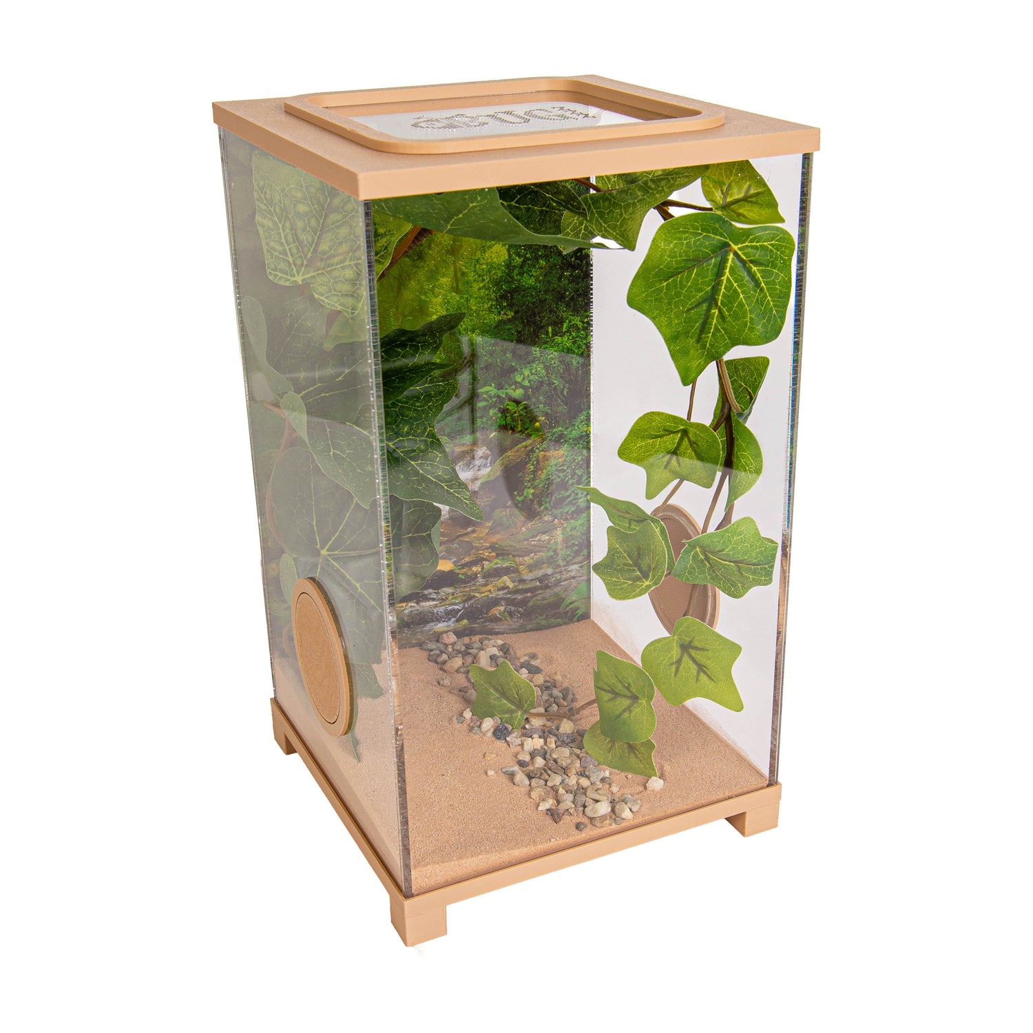Insect Terrarium – BioDome Green (20x20x34 cm)