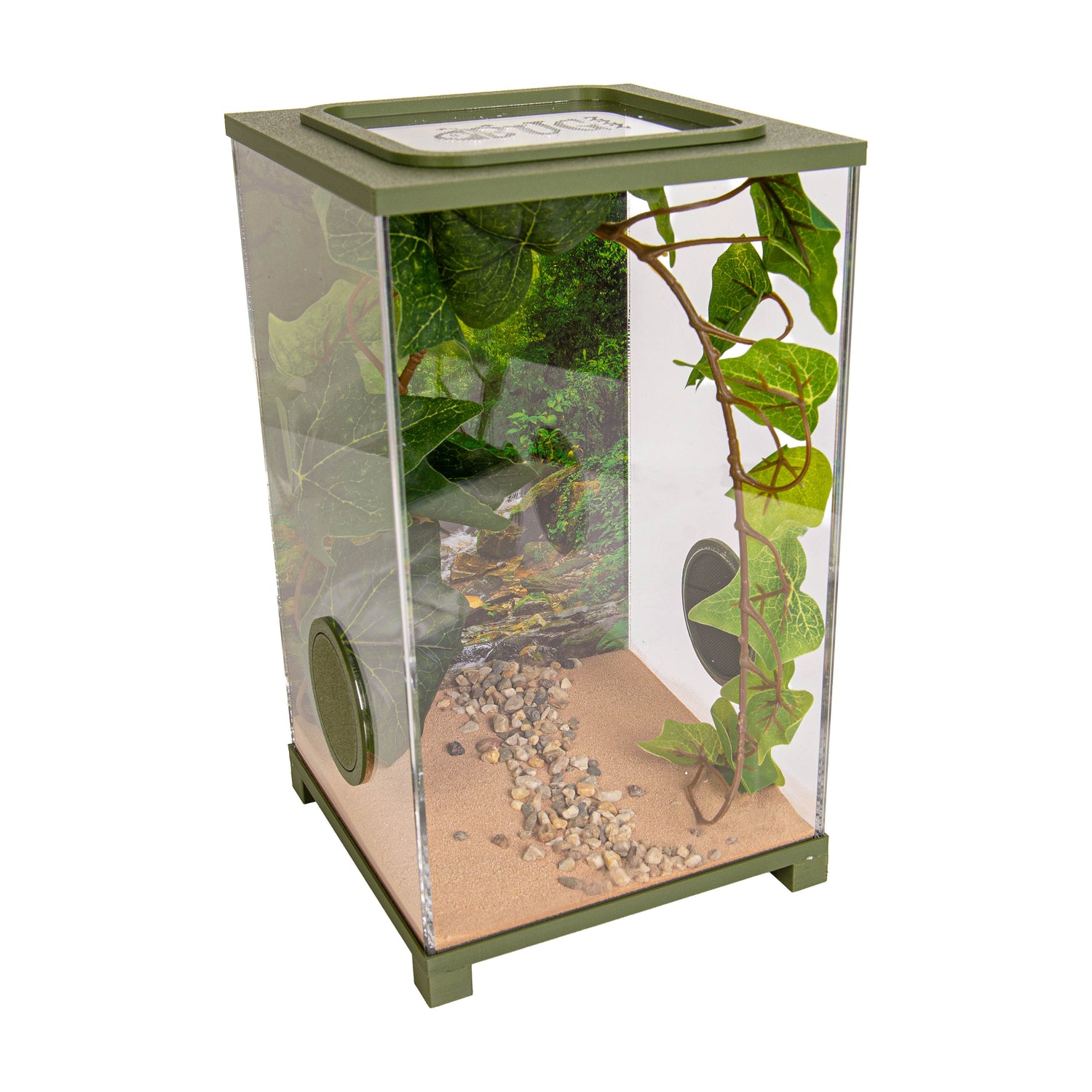 Insect Terrarium – BioDome Green (20x20x34 cm)