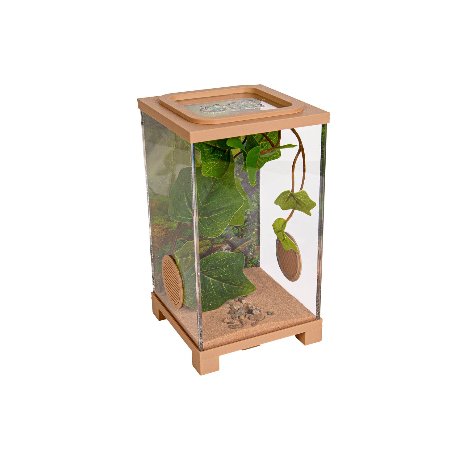Insect Terrarium – BioDome Green (20x20x34 cm)
