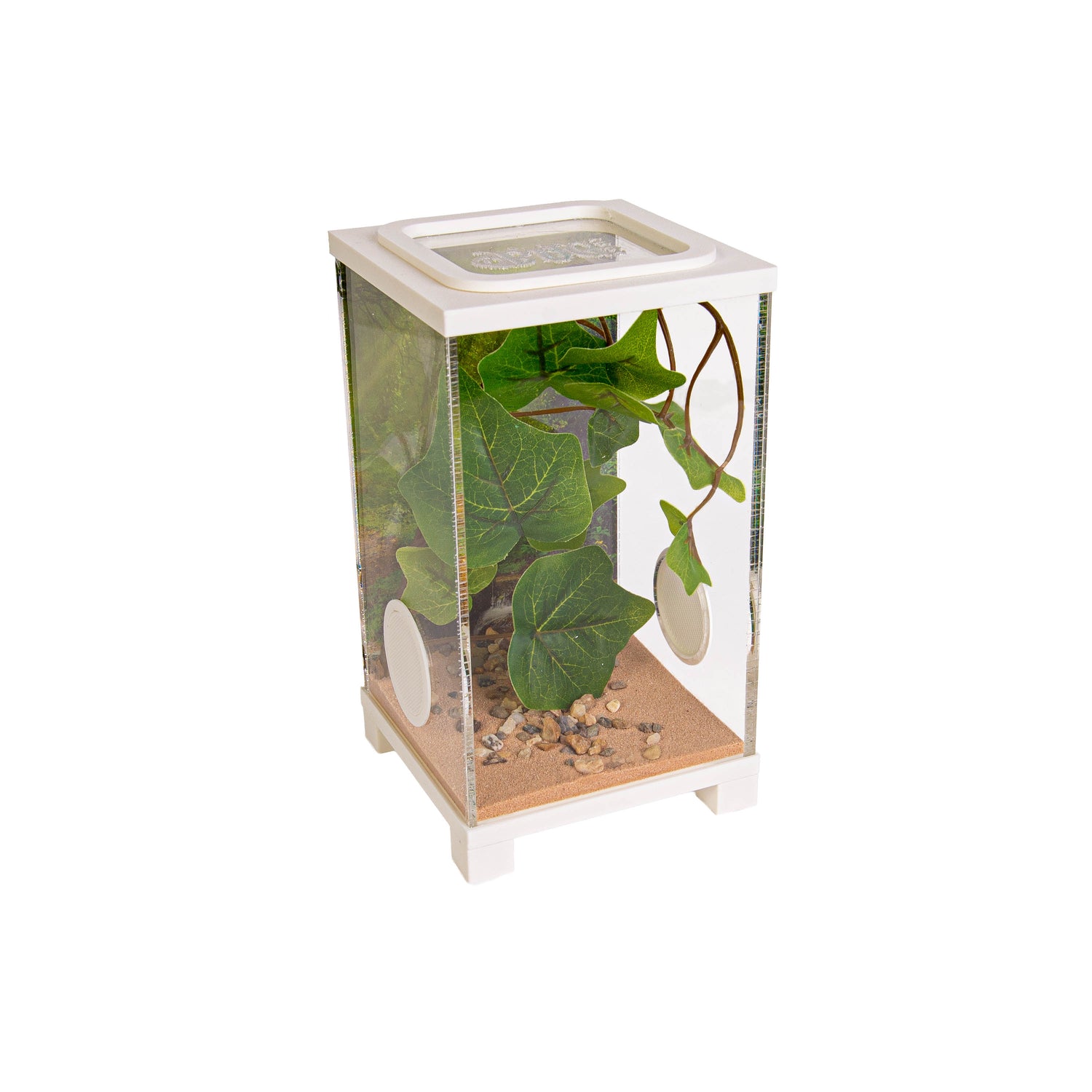Insect Terrarium – BioDome Green (20x20x34 cm)