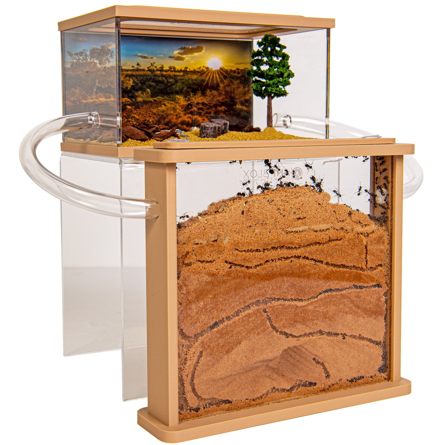 City Hill - Sand (tripod arena)