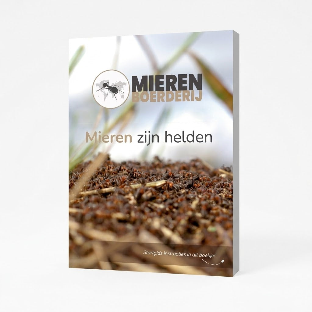 Booklet 'Ants are Heroes'!