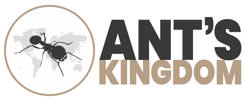 Ant's Kingdom